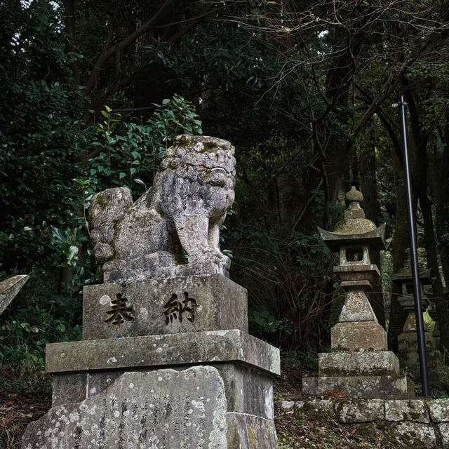 大歲神社📝清幽靜謐⛩️🌲