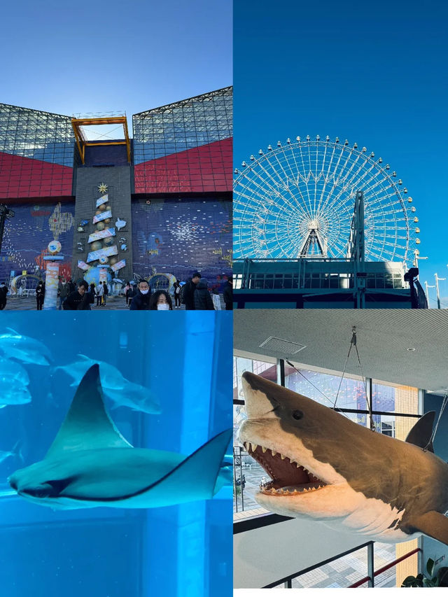 景點推薦：大阪海洋館——與海洋生物零距離接觸