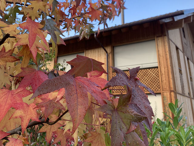 Autumn Bliss in Spiez: A Lakeside Paradise