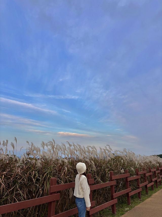 가을 국내여행지 추천🍁
