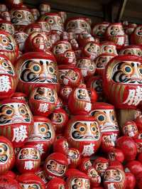 滿寺達摩來大阪必去 入寺必取免費紀念品！