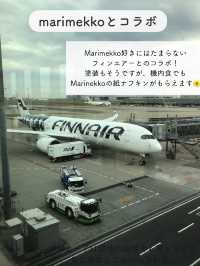 【フィンランド】フィンエアー搭乗記とおすすめポイント紹介