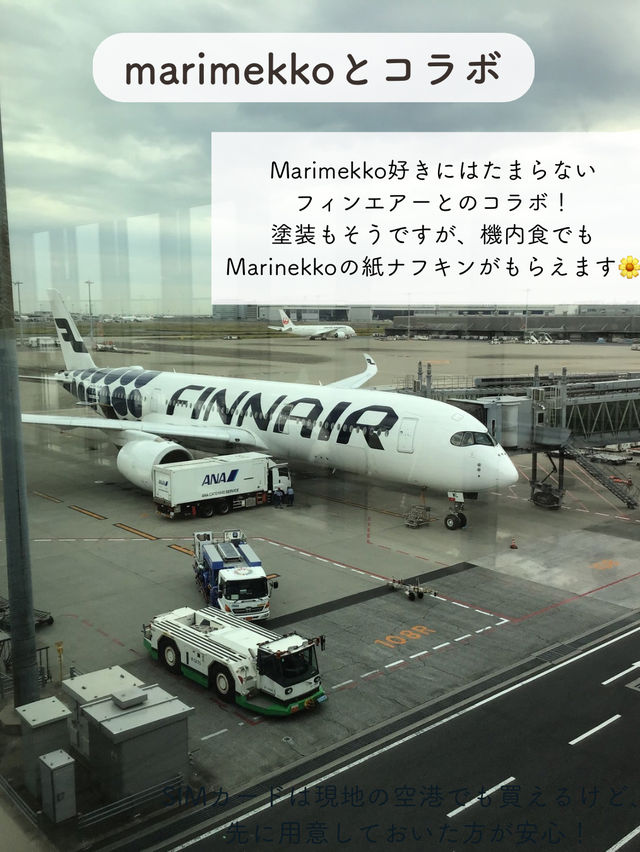 【フィンランド】フィンエアー搭乗記とおすすめポイント紹介