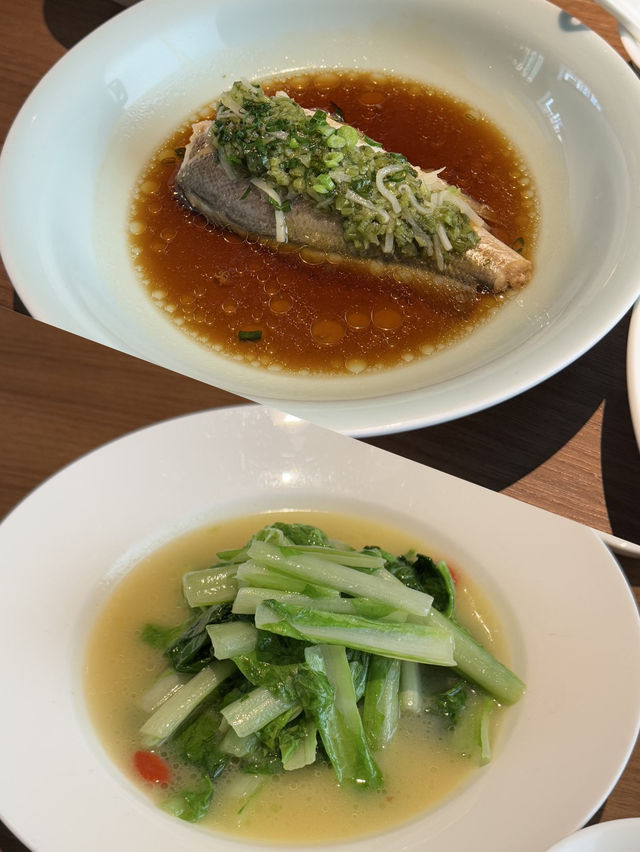북경오리 진자 맛집 추천 