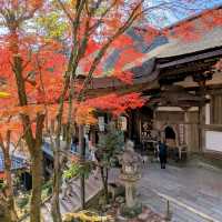 【滋賀紅葉】紫式部ゆかりの花の寺 石山寺紅葉