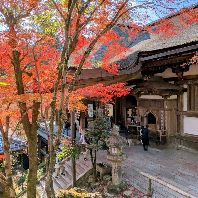 【滋賀紅葉】紫式部ゆかりの花の寺 石山寺紅葉