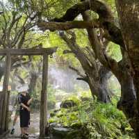 สัมผัสธรรมชาติสุดชิลที่แดนเทวดา แม่แตง เชียงใหม่