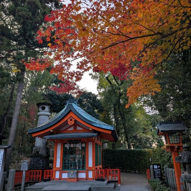 🇯🇵京都「伏見稻荷大社」輕鬆拍出無路人大片！給各位一個早起的理由！