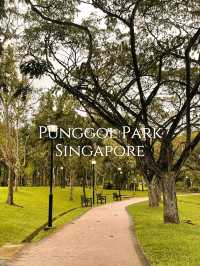 เช่าจักรยานปั่นดูวิวธรรมชาติ @Punggol Park 🌳