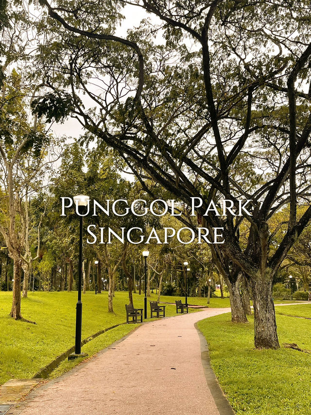 เช่าจักรยานปั่นดูวิวธรรมชาติ @Punggol Park 🌳