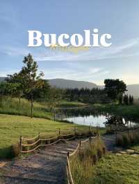 นี่เขาใหญ่หรือต่างประเทศ😝 Bucolic Cafe