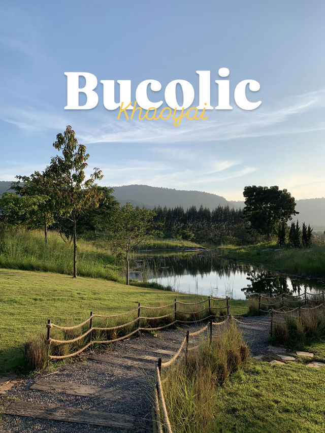 นี่เขาใหญ่หรือต่างประเทศ😝 Bucolic Cafe