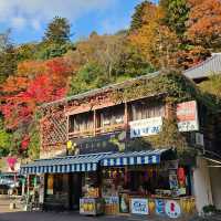 有馬六甲周遊券一日遊暢遊小旅行