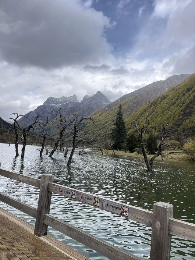 สี่ดรุณี เส้นทาง Shuangqiao 
