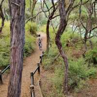 Waiotapu Thermal Wonderland: A Geothermal Marvel