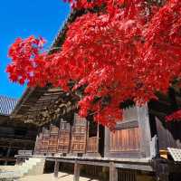 圓教寺〔大講堂〕千年禪意的歷史見證