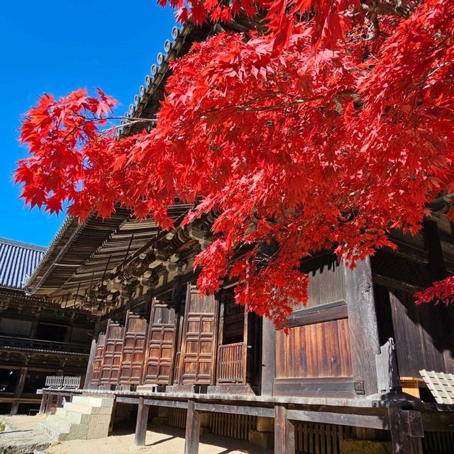圓教寺〔大講堂〕千年禪意的歷史見證