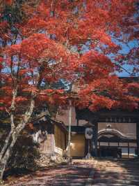 【高野山・金剛峯寺】紅葉の高野山おすすめスポット