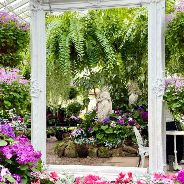 Serenity in Bloom: The Conservatory's Hidden Charm 🇦🇺