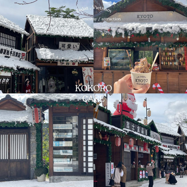 รวมที่เที่ยว ‘ดาลัด’ ในบรรยากาศสุดอบอุ่นช่วงต้นปี