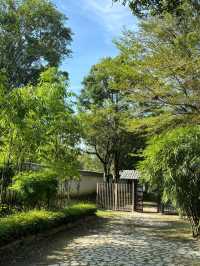 Taman Jepun Ipoh: A Tranquil Japanese Garden Escape