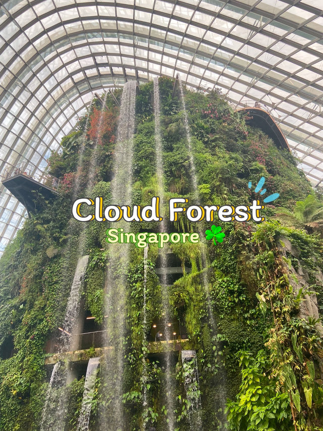 โดมยักษ์ Cloud Forest 🍃