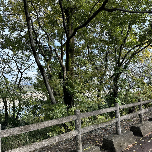 【愛知観光】自然と触れ合える癒しのスポット🫶🏻