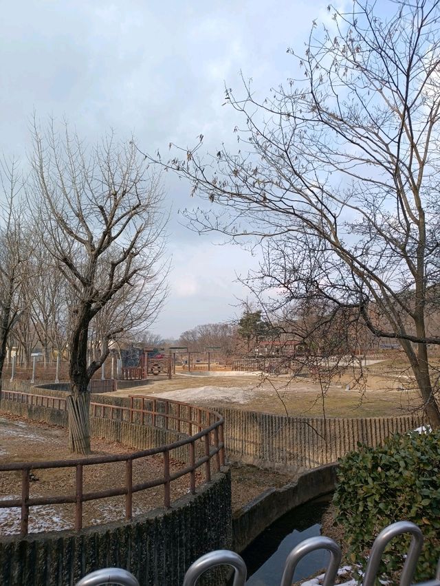 首爾親子遊 - 首爾動物園