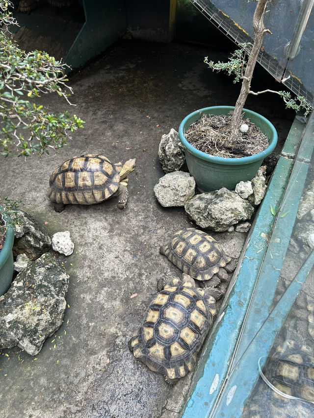 Family friendly park in CDO