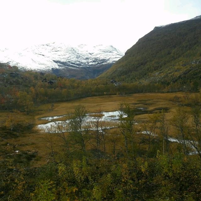 World most scenic railway - Flåm Railway