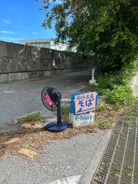 【宮古島】日本の楽園で海と絶品グルメを満喫🌺