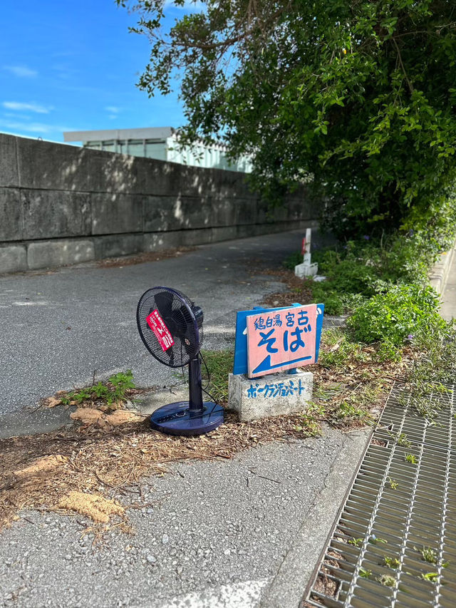 【宮古島】日本の楽園で海と絶品グルメを満喫🌺