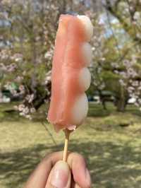 Hirosaki Park: A Cherry Blossom Paradise