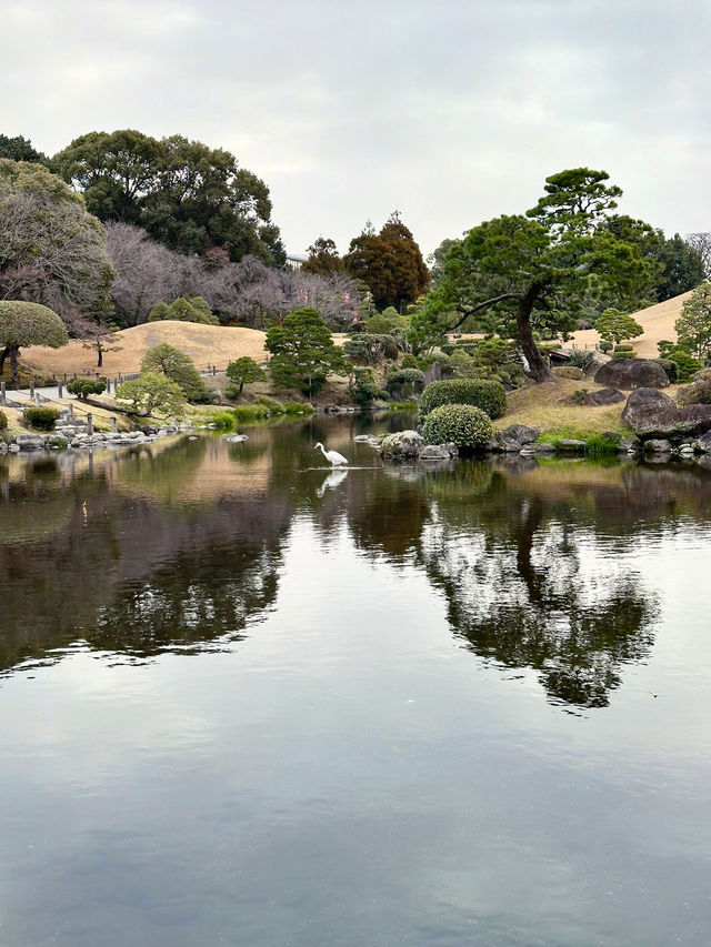 【水前寺成趣園】