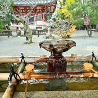 Chionin Temple