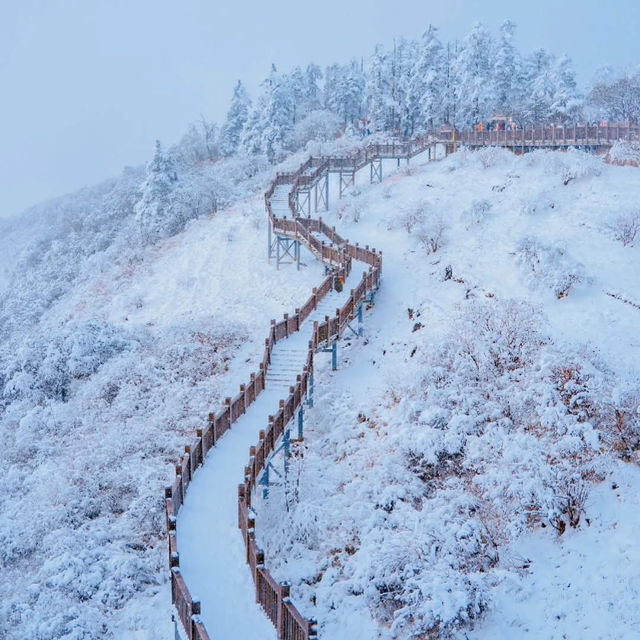 ซีหลิง🏔️