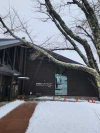 주변경관이 뛰어나 산책하기 좋은 시코츠호수🏞
