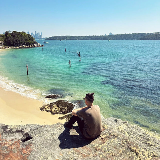 A Perfect Day at Shark Beach: Swim, Pizza, Relax