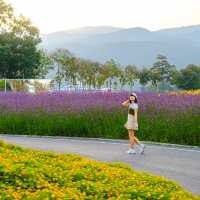 สวนดอกไม้วิวเขา “สวน อบจ เชียงใหม่” 