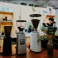 Nature's Brew at Hoja Coffee