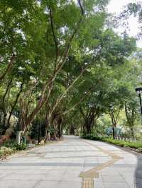 🏝️😎如熱帶雨林般的「城門谷公園」｜香港賞花拍照好地方🔥🏞️