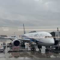 Experience flying All Nippon Airways