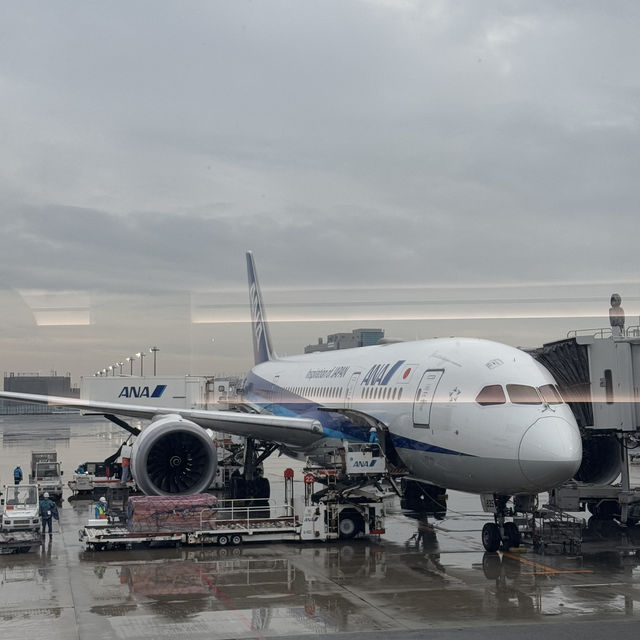 Experience flying All Nippon Airways
