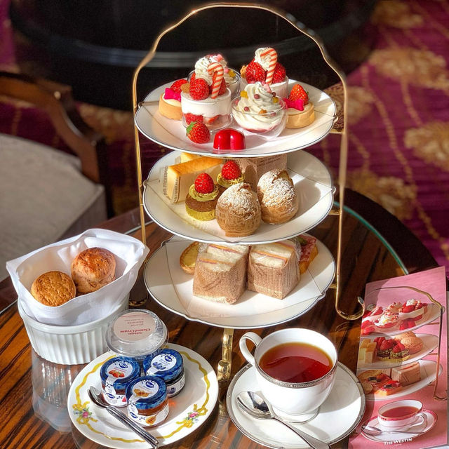 Elegant Strawberry Afternoon Tea at The Westin Tokyo🍓