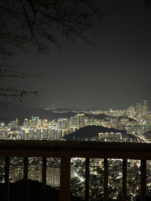 주차장에서 10분! 부산 전경을 내려다보는 무료전망대👍🏻