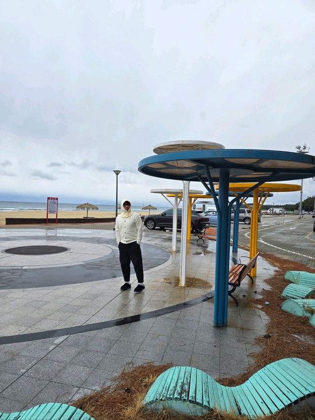 넓은 해변과 오토캠핑장이 있는 해수욕장💙