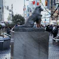 A Heartwarming Tribute to Loyalty at Hachiko's Statue