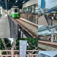 From Cheongsapo to Mipo: A Scenic Stroll Along Korea's Coastal Pathway