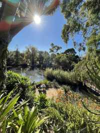 🇦🇺 Marvellous Melbourne: My Favourite Experiences