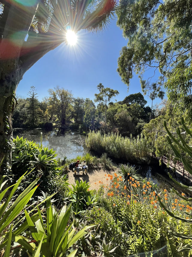 🇦🇺 Marvellous Melbourne: My Favourite Experiences